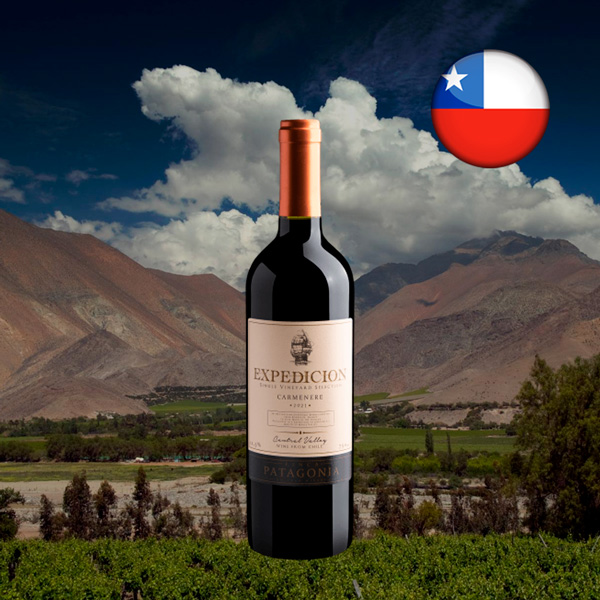 Expedicion Single Vineyard Selection Carménère Central Valley D.O. 2021 - Oferta