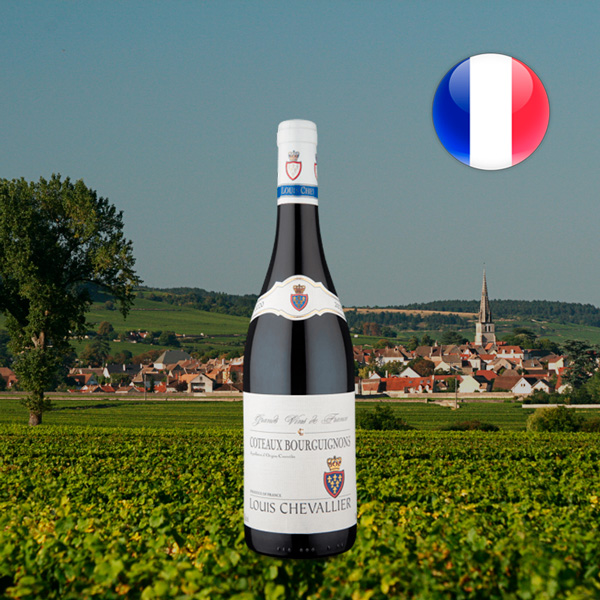 Louis Chevallier A.O.C. Coteaux Bourguignons 2020 - Oferta