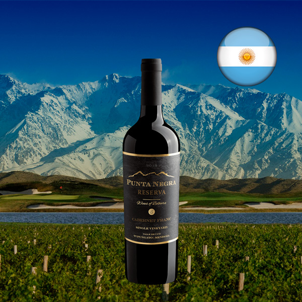 Punta Negra Reserva Cabernet Franc Single Vineyard 2019 - Oferta