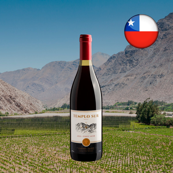 Templo Sur Limited Series Pinot Noir 2021 - Oferta