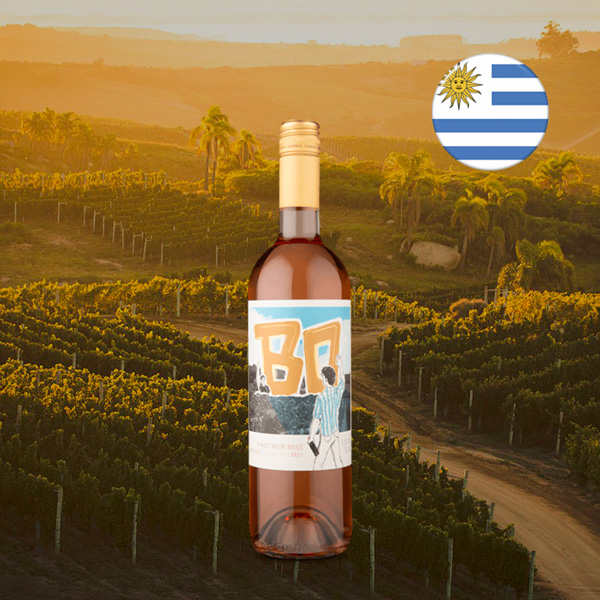 BO Pinot Noir Rosé 2021 - Oferta