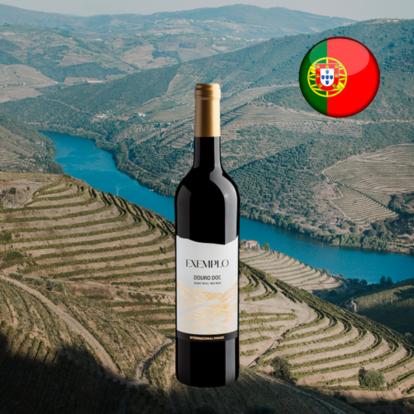 Exemplo Douro DOC 2020 - Oferta