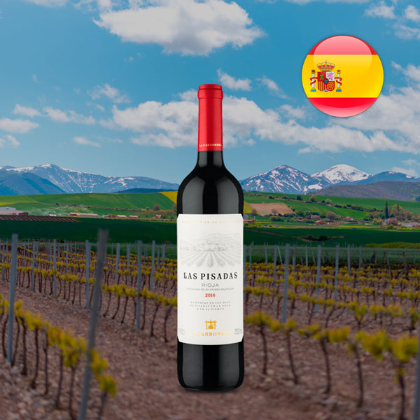 Las Pisadas D.O.C Rioja 2016 - Oferta
