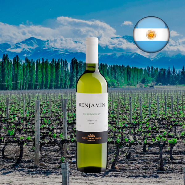 Nieto Senetiner Benjamin Chardonnay 2021 - Oferta