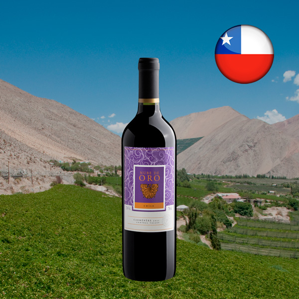 Nube de Oro Carménère 2021 - Oferta