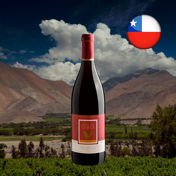 Nube de Oro Pinot Noir 2021 - Oferta