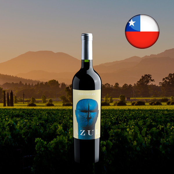 Peñalolen Azul 2017 - Oferta