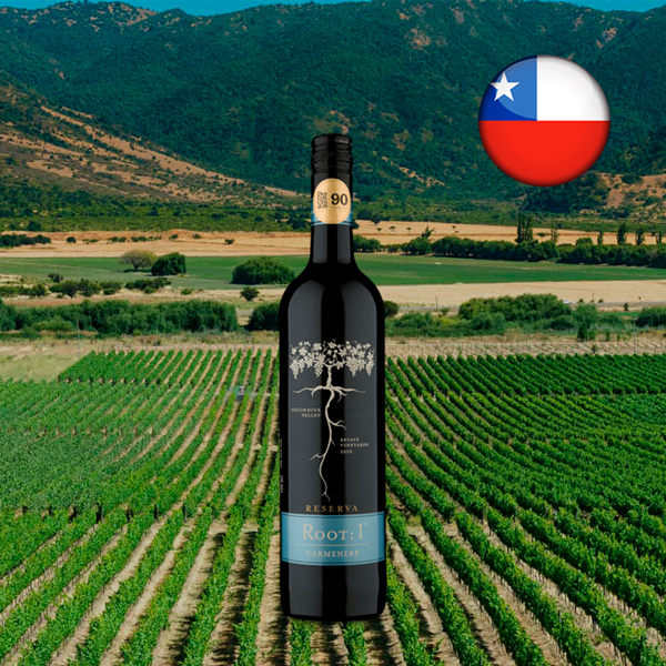 Root 1 Carménère 2019 - Oferta