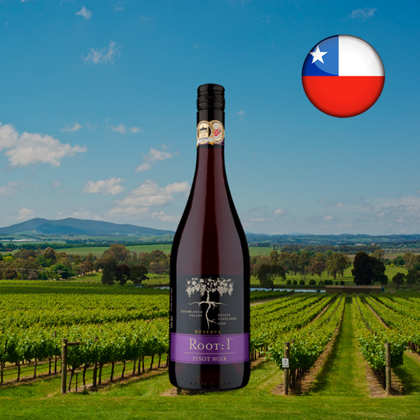 Root 1 Pinot Noir 2020 - Oferta