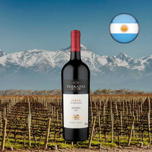 Terrazas de Los Andes Reserva Syrah 2019 - Oferta
