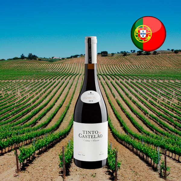 Tinto de Castelão by António Maçanita Alentejo DOC 2019 - Oferta