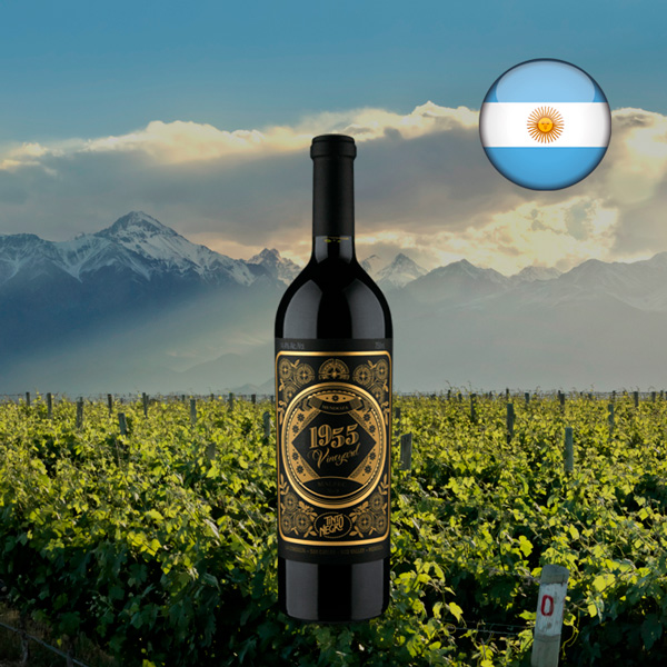 Vineyard 1955 2018 - Oferta