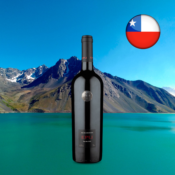 Almaviva EPU 2018 - Oferta