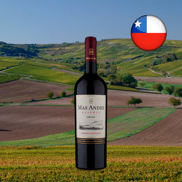 Baron Philippe de Rothschild Mas Andes Reserva Cabernet Sauvignon 2019 - Oferta