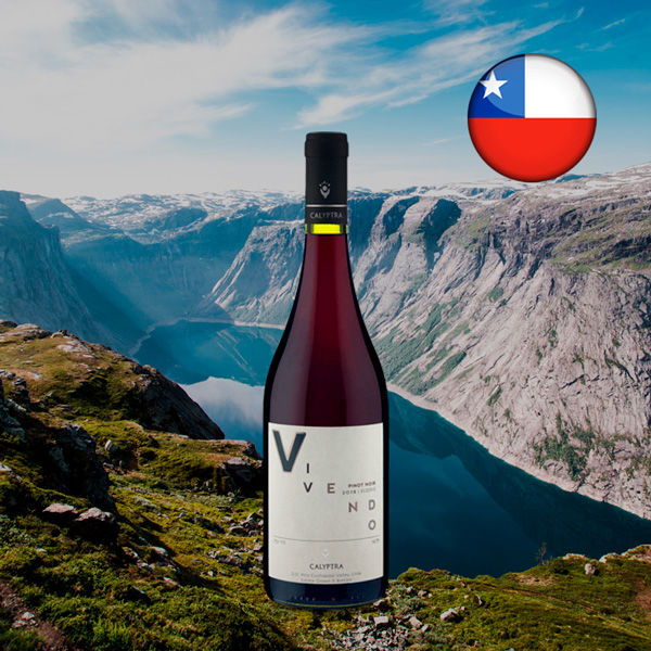 Calyptra Vivendo Reserve Pinot Noir 2018 - Oferta