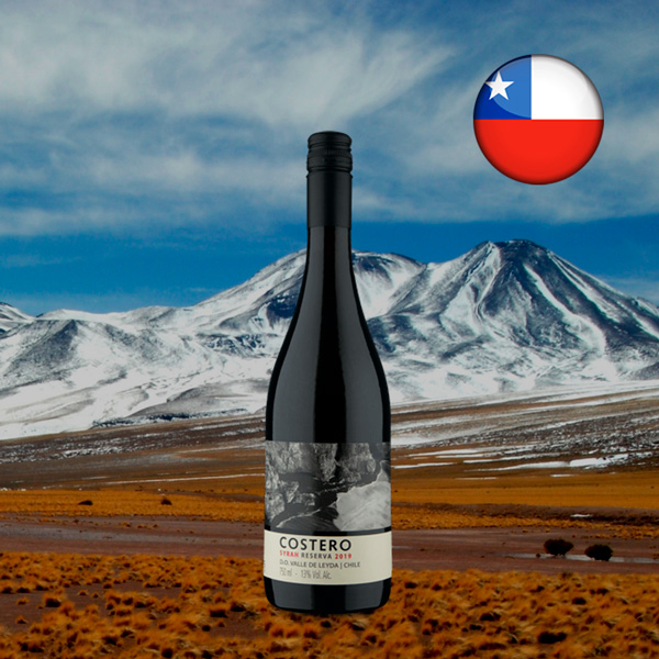 Costero Reserva D.O. Valle de Leyda Syrah 2019 - Oferta