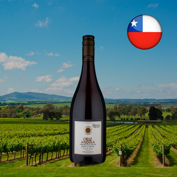 Cruz Andina Reserva Pinot Noir Orgânico 2019 - Oferta
