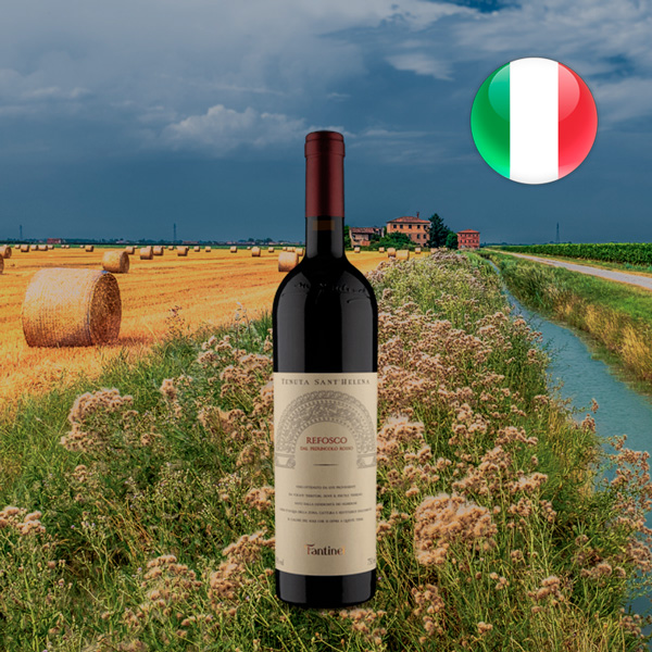 Fantinel IGT Trevenezie Refosco dal Peduncolo Rosso 2016 - Oferta