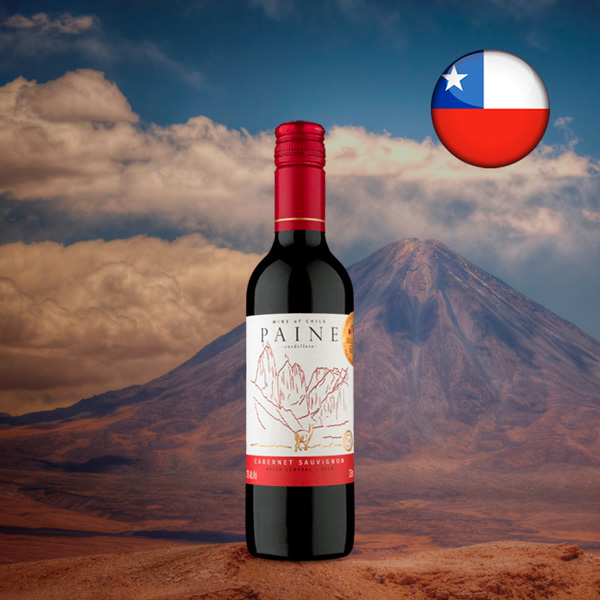 Paine Cabernet Sauvignon 2020 375 mL - Oferta