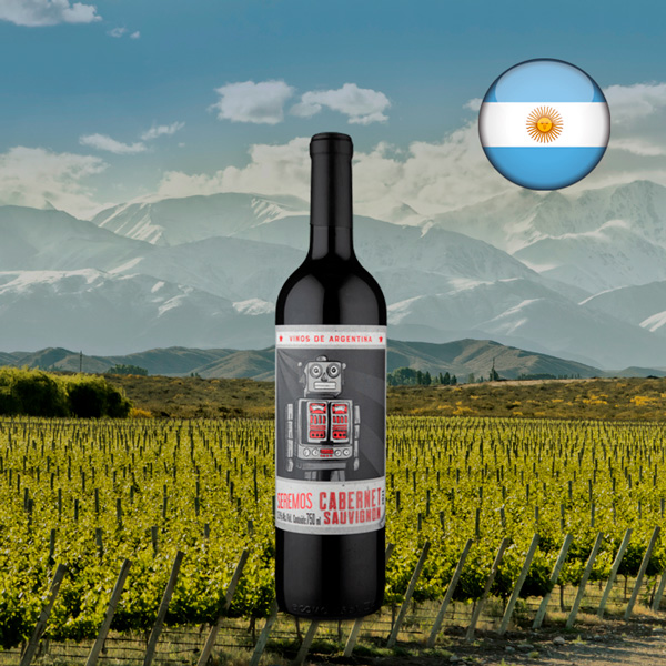 Seremos Cabernet Sauvignon 2021 - Oferta