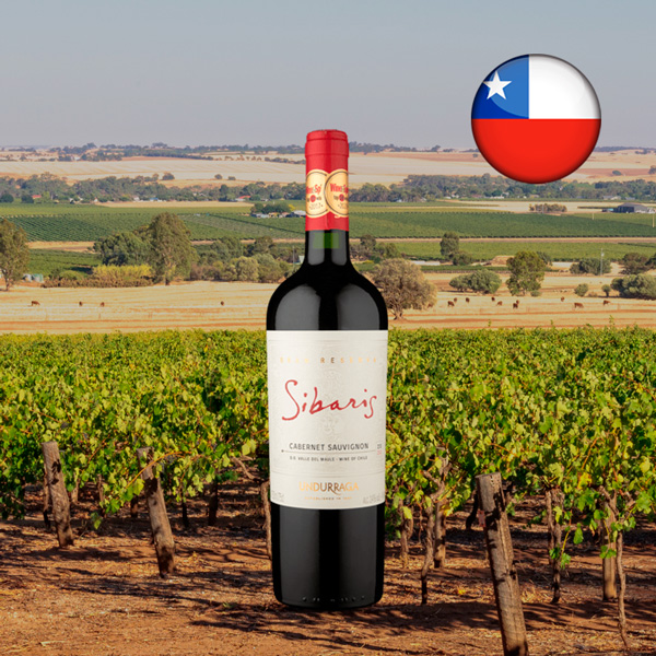 Sibaris Gran Reserva DO Valle del Maule Cabernet Sauvignon 2020 - Oferta