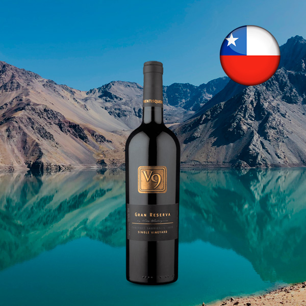 V9 Gran Reserva D.O. Valle del Maipo Cabernet Sauvignon 2019 - Oferta