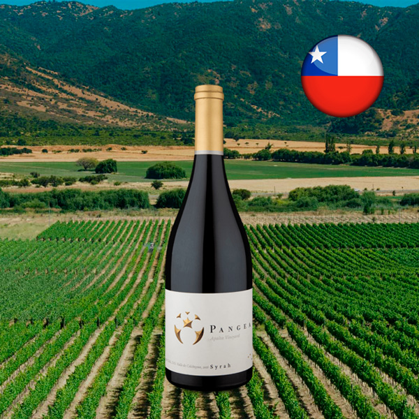 Ventisquero Pangea Valle de Colchagua Syrah 2016 - Oferta