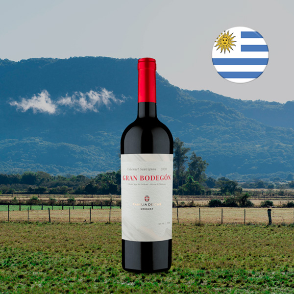 Viñedo Mar de Piedras Gran Bodegón Cabernet Sauvignon 2020 - Oferta