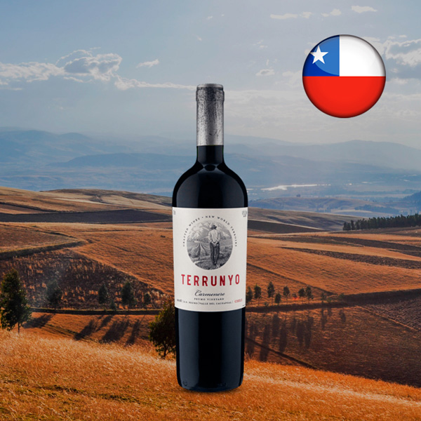 Concha Y Toro Terrunyo Camenere 2018 - Oferta