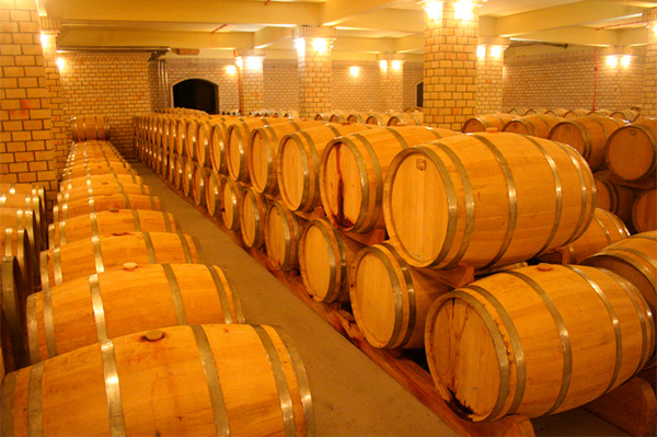 John Duval Eligo Shiraz 2016 - Barricas