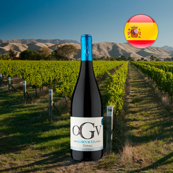 OGV Old Garnacha Vines D.O. Calatayud 2016 - Oferta