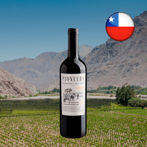 Pioneers Carménère 2021 - Oferta