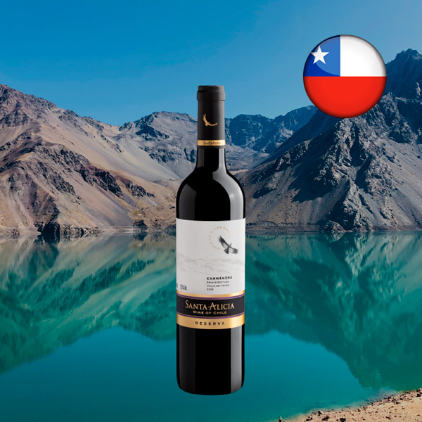 Santa Alicia Reserva Carménère 2018 - Oferta