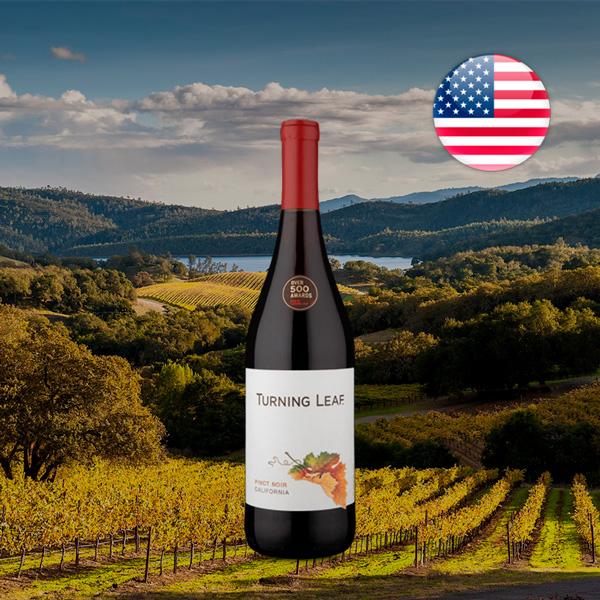 Turning Leaf Pinot Noir - Oferta