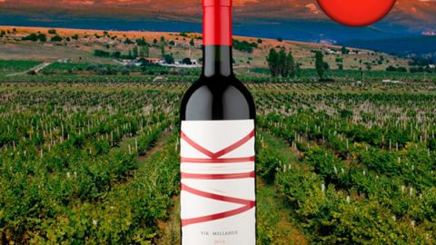 Vik 2015 - Oferta