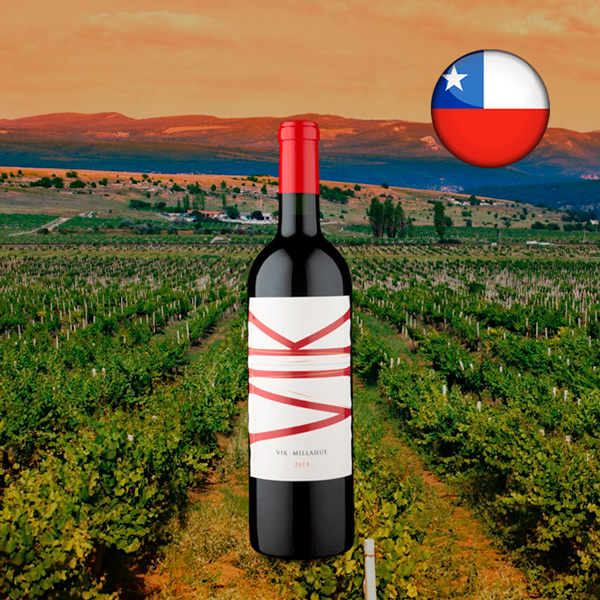 Vik 2015 - Oferta