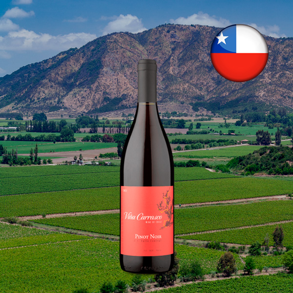 Viña Carrasco D.O. Valle Central Pinot Noir 2021 - Oferta