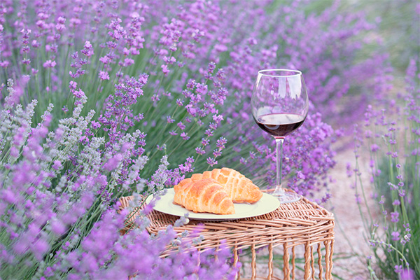 5 Vinhos franceses premiados que você precisa experimentar
