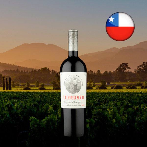 Concha Y Toro Terrunyo Cabernet Sauvignon 2018 - Oferta