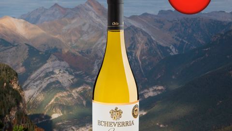 Echeverria Reserva Unwooded Chardonnay 2021 - Oferta