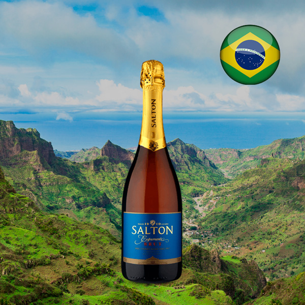 Espumante Salton Brut - Oferta