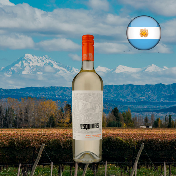 Esquinas de Argento Pinot Grigio 2019 - Oferta