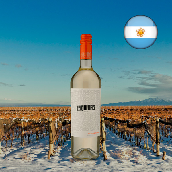 Esquinas de Argento Viognier 2019 - Oferta