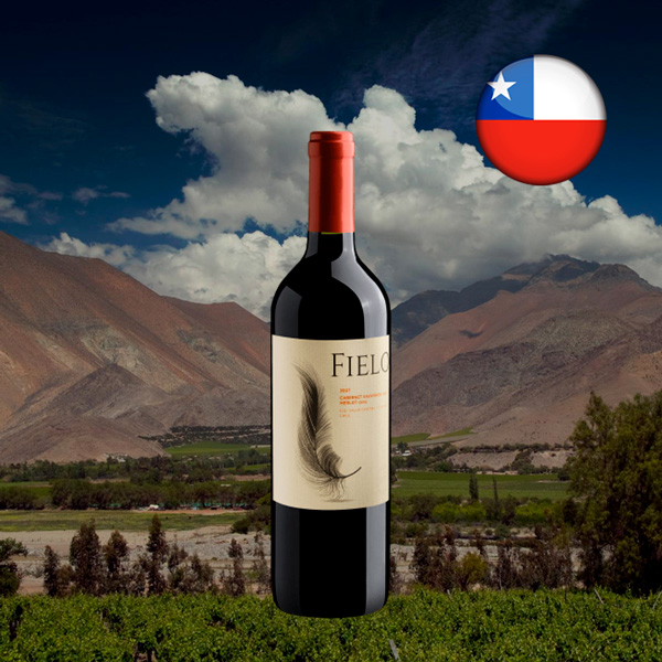 Fielo Cabernet Sauvignon-Merlot Valle Central DO 2021 - Oferta