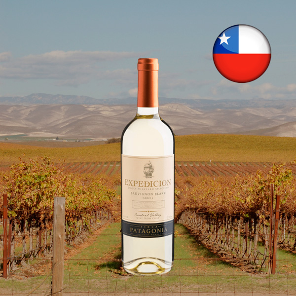 Finca Patagonia Expedicion Single Vineyard Selection Sauvignon Blanc Central Valley DO 2021 - Oferta