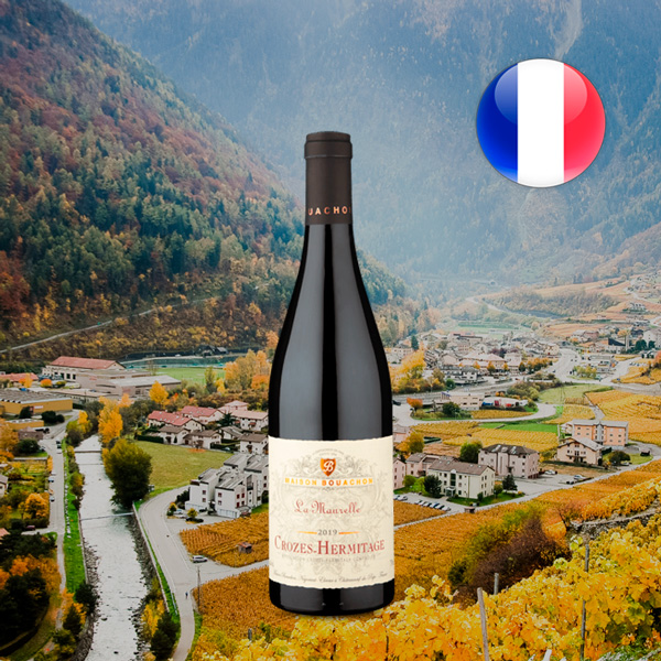 Maison Bouachon La Maurelle AOC Crozes-Hermitage 2019 - Oferta