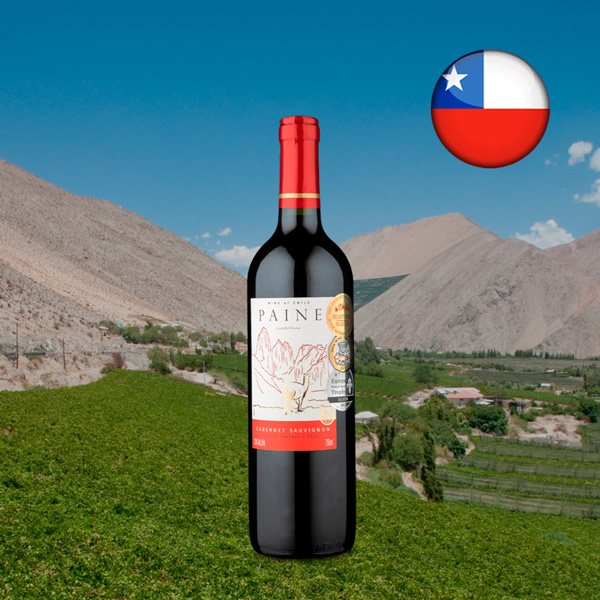 Paine Cabernet Sauvignon 2021 - Oferta