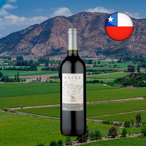 Paine Syrah 2021 - Oferta