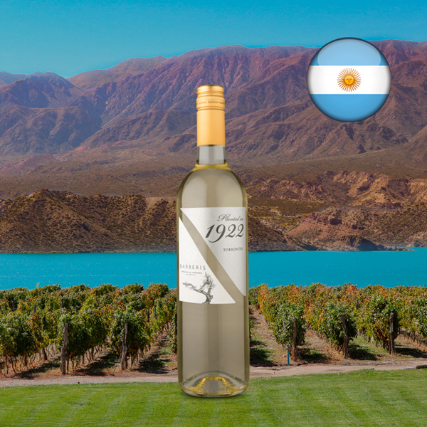 Planted in 1922 Torrontes 2021 - Oferta