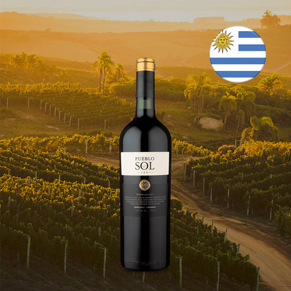 Pueblo del Sol Reserva Marselan 2021 - Oferta